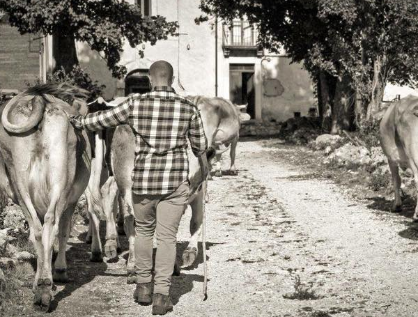 Azienda Agricola Trozzi Pescocostanzo